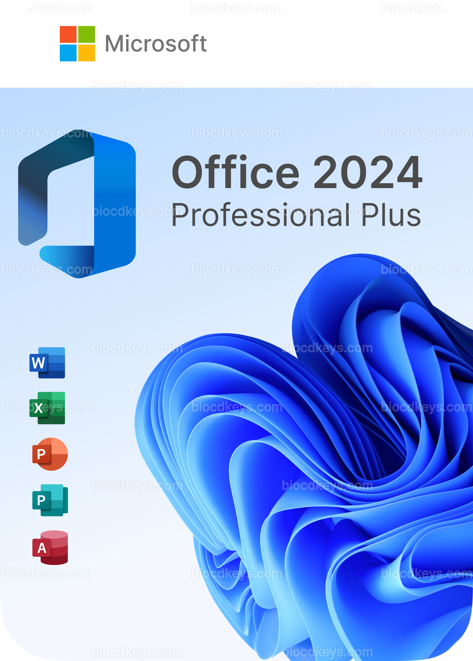 Office 2024 Pro Plus (1 PC)