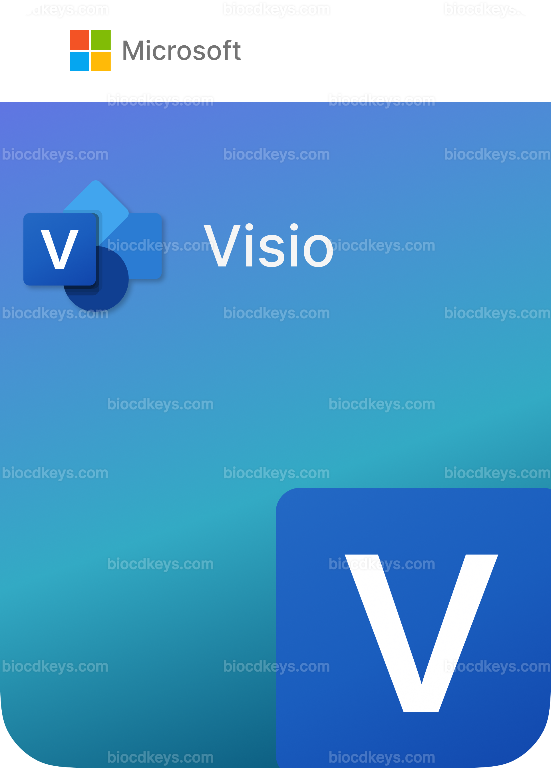Visio 2021 Professional