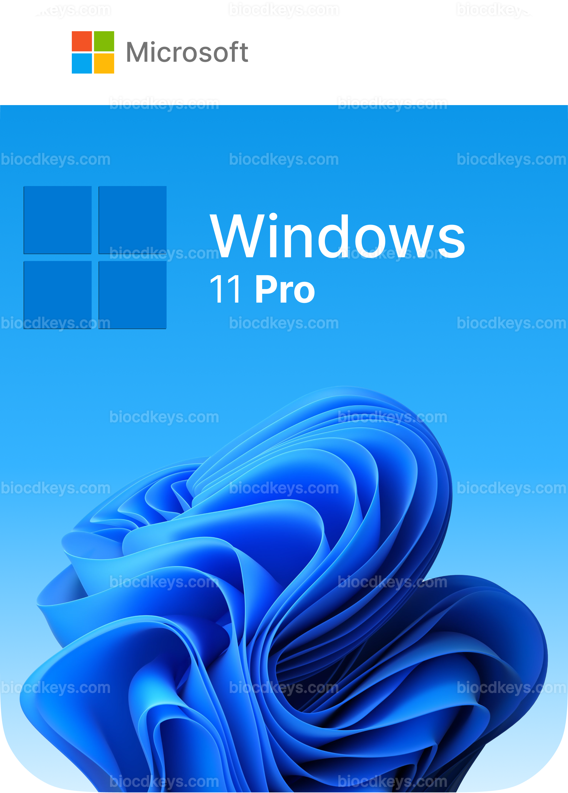 Windows 11 Pro (1 PC)