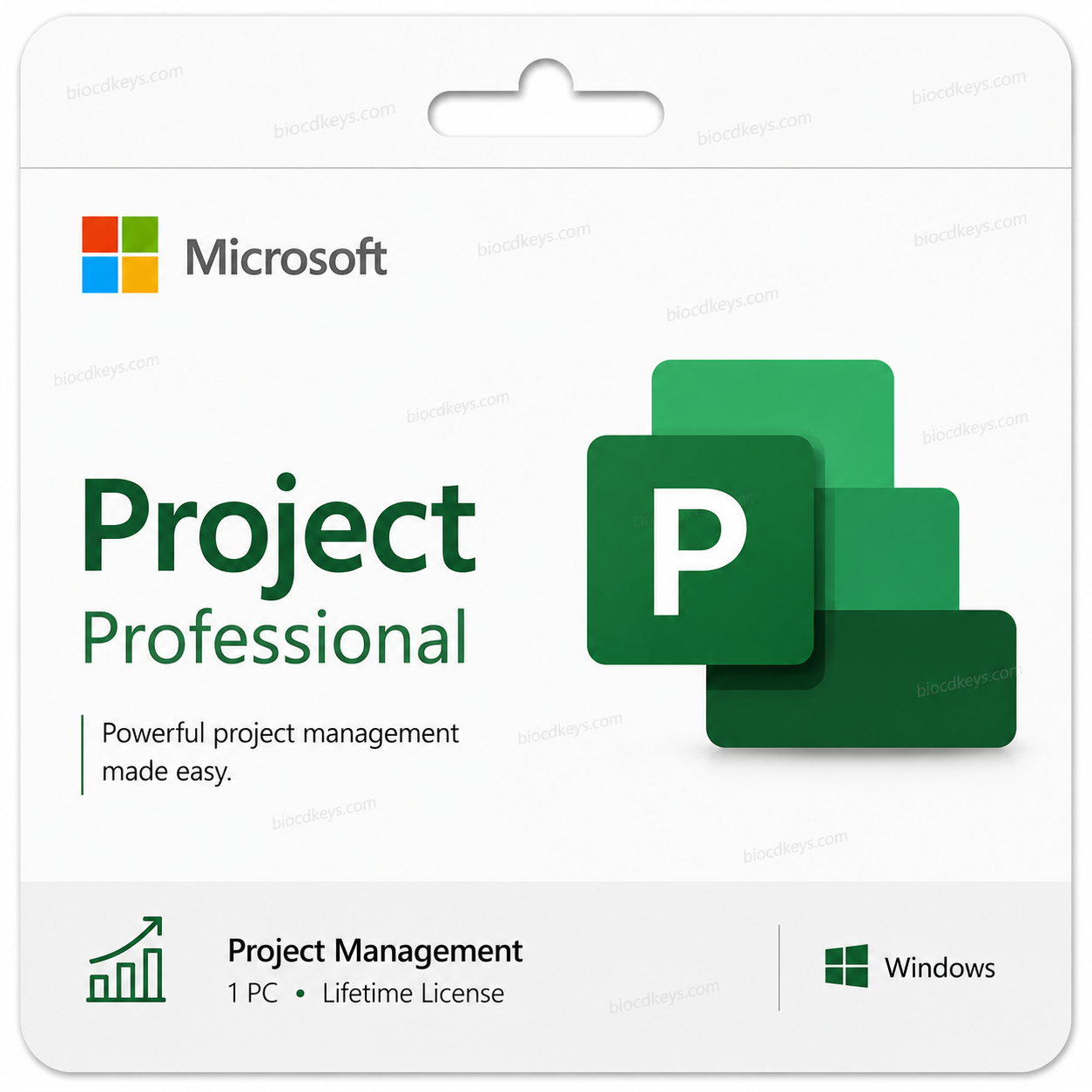 Project Pro