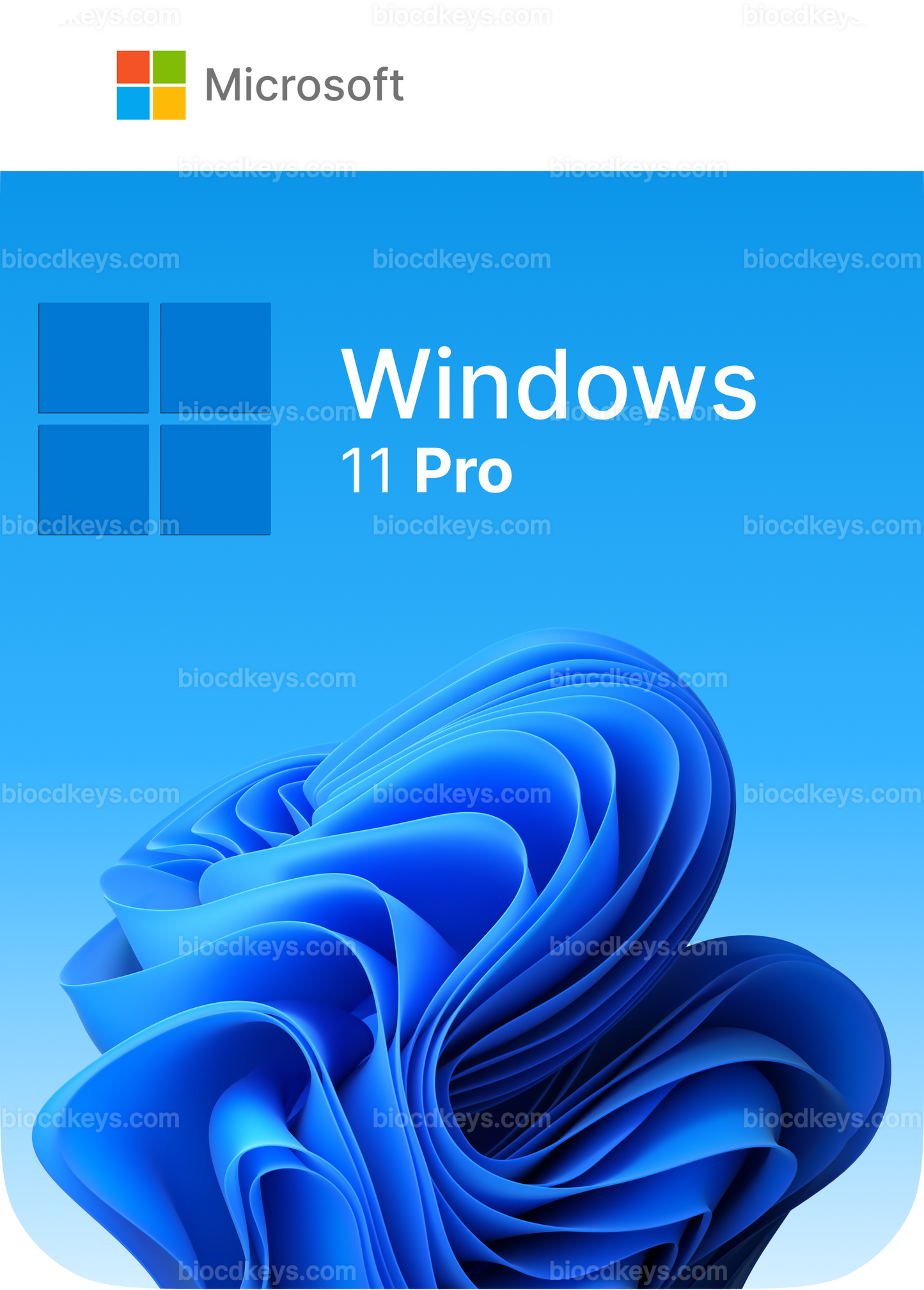 Windows 11 Pro (1 PC)