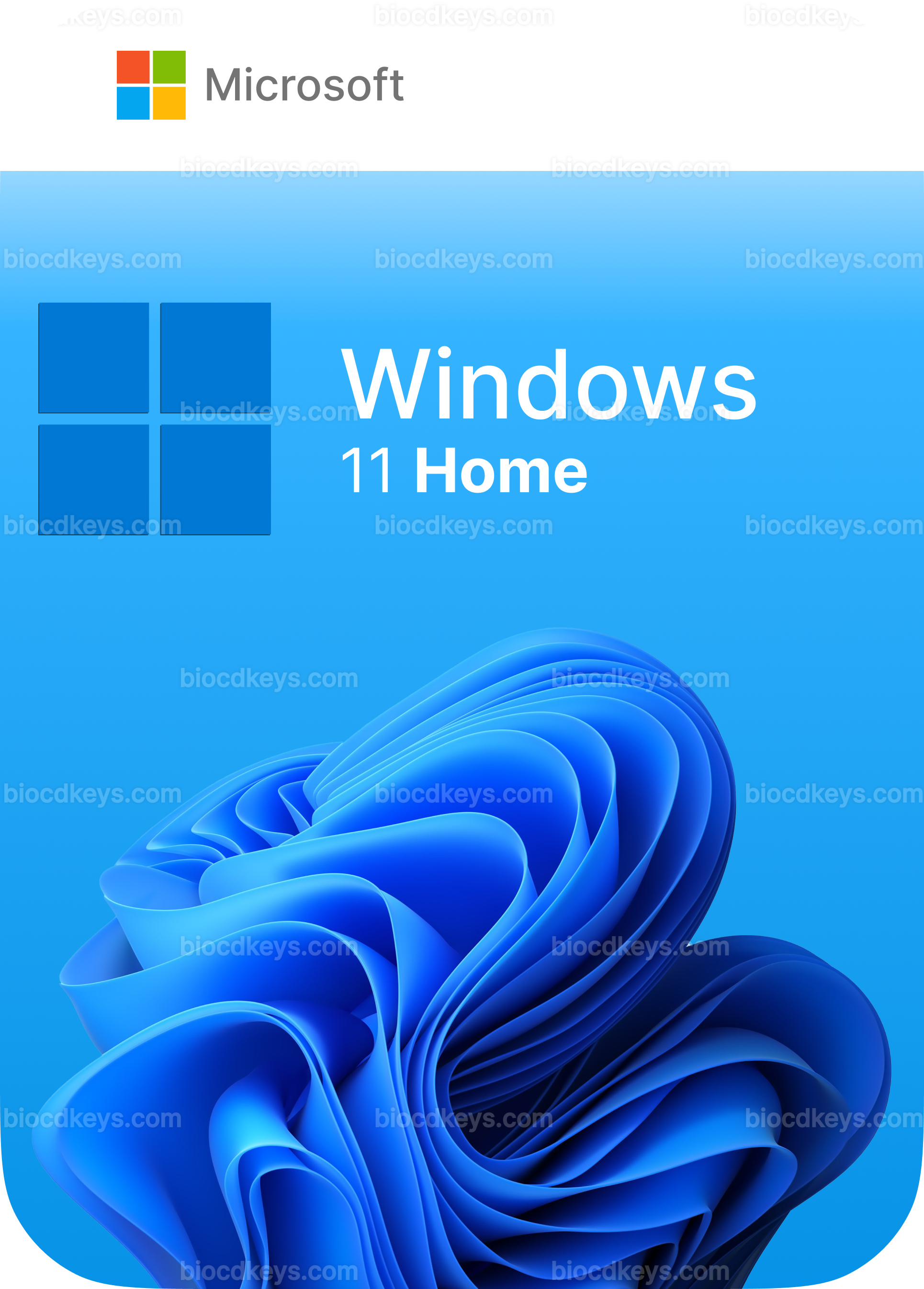 Windows 11 Home (1 PC)