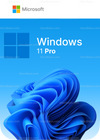 Windows 11 Pro (1 PC)