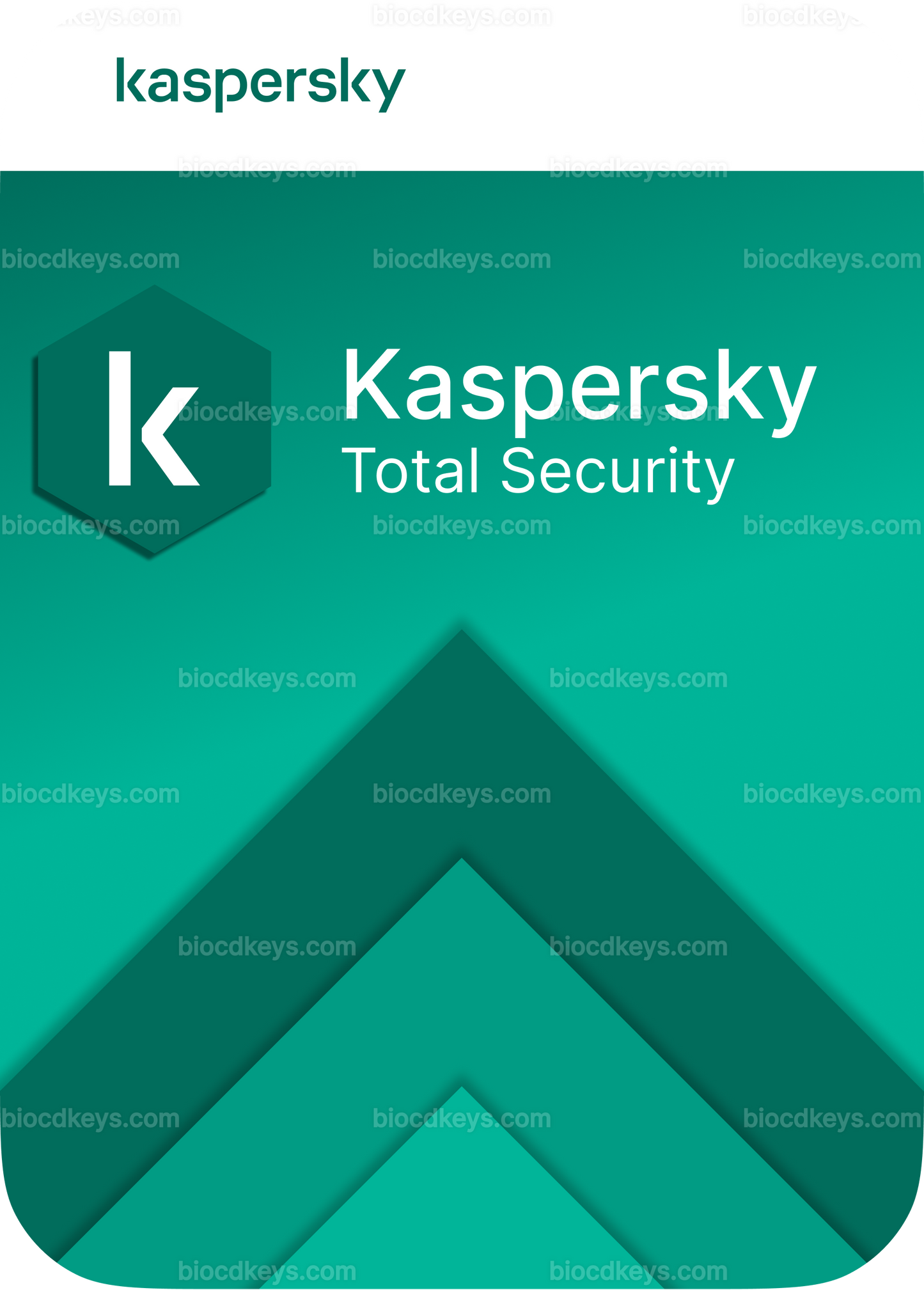 Kaspersky Total Security (1 PC - 1 Año)